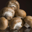 Champignon de Paris blanc ou bruns