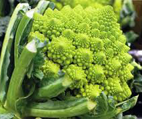 Chou Romanesco