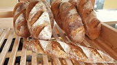 Pain de campagne bio